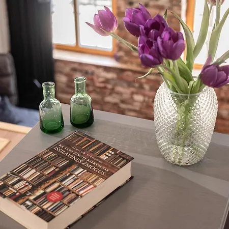 Apartamentai Puodziu 27 * Клайпеда